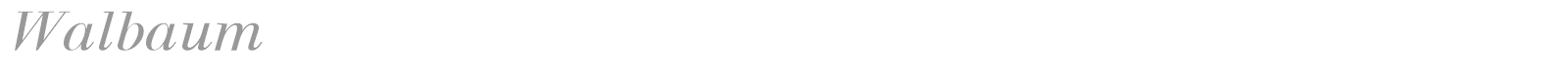 Walbaum font preview